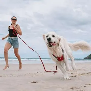 EzyDog Track and Train Leash - 16-Foot Premium Training Lead