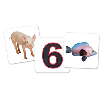 Vowel Owls Sorting Set - Engage Learning Fun for Kids