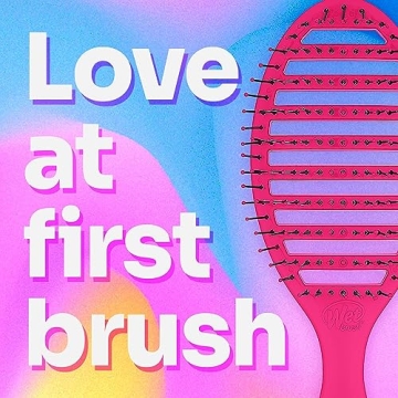 Wet Brush Speed Dry Hair Brush for Effortless Styling
