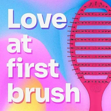Wet Brush Speed Dry Hair Brush for Effortless Styling