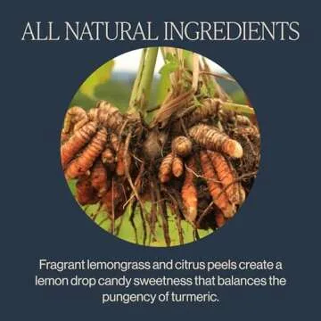 Rishi Tea Turmeric Ginger Herbal Tea - Organic Caffeine Free