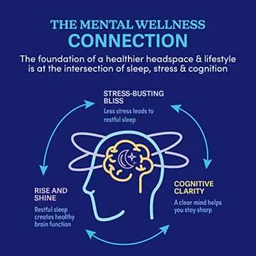 Swanson WIO™ Big Brain Energy™ Caffeine Alternative, Cognition, Energy, Better Focus/Alertness, enXtra® Alpinia Galanga 300mg, Gluten-Free, Non-GMO, Mental Wellness, 30 Capsules (30-Day Supply)