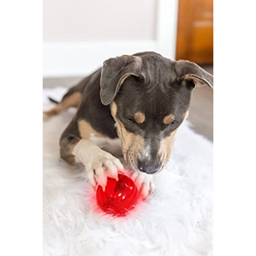 Pet Qwerks Blinky Babble Ball - Interactive Chew Toy