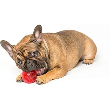 Pet Qwerks Blinky Babble Ball - Interactive Chew Toy