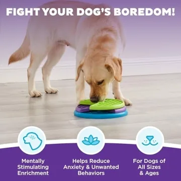 Outward Hound Lickin' Layers Puzzle Feeder For Dogs