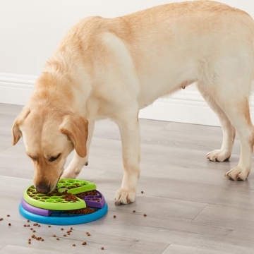 Outward Hound Lickin' Layers Puzzle Feeder For Dogs