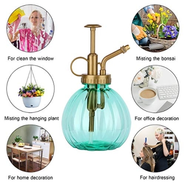 Vintage Useekoo Plant Mister - Decorative Aqua Spray Bottle