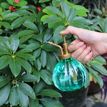 Vintage Useekoo Plant Mister - Decorative Aqua Spray Bottle