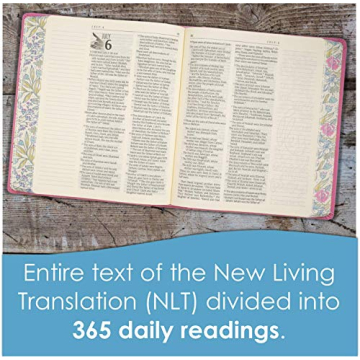 The One Year Bible Expressions NLT Deluxe - Engaging and Creative Study