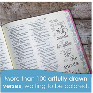 The One Year Bible Expressions NLT Deluxe - Engaging and Creative Study