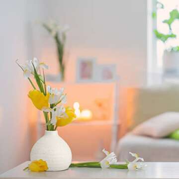 Decorative White Ceramic Vases Set of 2 Small Bud Vases for Rustic Home Decor Narrow Mouth Floral Vases for Flower Arrangement Table Centerpieces Farmhouse