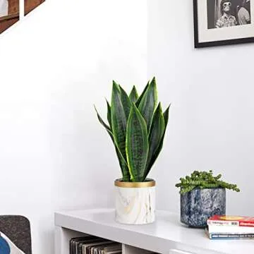 Briful Faux Snake Plant 16in Stunning Indoor Decor