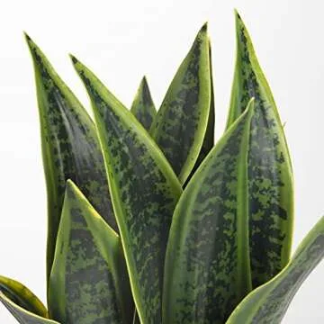 Briful Faux Snake Plant 16in Stunning Indoor Decor