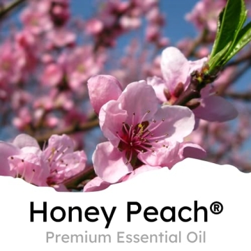Air Jungles Honey Peach Car Air Freshener Clip for Lasting Freshness
