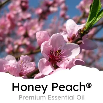 Air Jungles Honey Peach Car Air Freshener Clip for Lasting Freshness