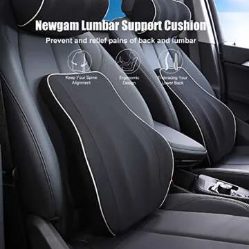 Newgam Lumbar Support Pillow/Back Cushion,Memory Foam Orthopedic Backrest with Breathable 3D Mesh for Car Seat,Office/Computer Chair,Wheelchair and Recliner,Ergonomic Design for Back Pain