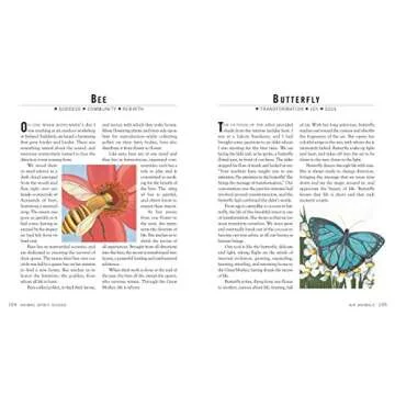 Spirit Animal Guides: Discover your power animal and the shamanic path