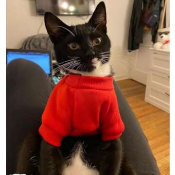 Cat Sweaters Shirts for Cats - Hairless Cat Cotton Tshirts Pet Clothes - Pullover Kitten T-Shirts wi...