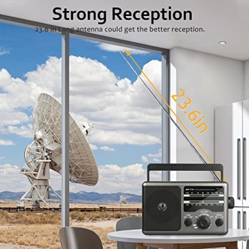 AM FM Portable Radio Big Speaker Dual Power Options