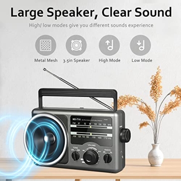 AM FM Portable Radio Big Speaker Dual Power Options