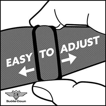 Scooby Doo Pet Collar, Dog Collar Plastic Buckle, Scooby Doo The Mystery Machine Paint Job Green Aqua Orange, 15 to 24 Inches 1.0 Inch Wide