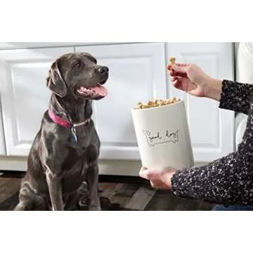 Stylish Pearhead Good Dog Treat Jar for Pet Owners