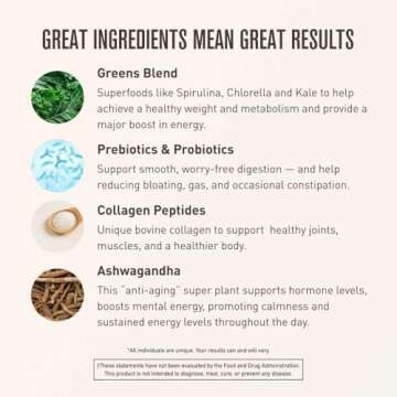 ROUNDHOUSE PROVISION Morning Kick, Greens Superfood Powder Supplement with Ashwaganda, Collagen, Probiotics, Supports Energy Levels, 30 Servings (Strawberry Lemonade) by Chuck Norris