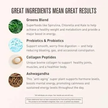 ROUNDHOUSE PROVISION Morning Kick, Greens Superfood Powder Supplement with Ashwaganda, Collagen, Probiotics, Supports Energy Levels, 30 Servings (Strawberry Lemonade) by Chuck Norris