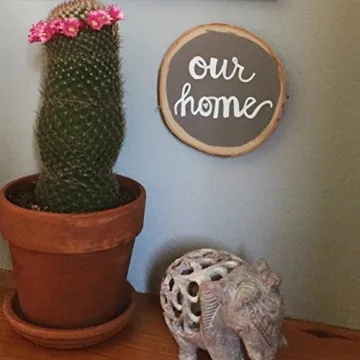 Uchida 480-C-0 Broad Point Tip Bistro Window Chalk Marker, White, 1 Count (Pack of 1)