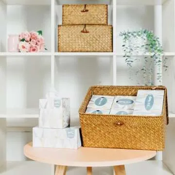 SHEYRAJIIA 3 Pack Cube Seagrass Storage Bins with Lids, Rattan Woven Decorative Storage Boxes, Wicker Storage Baskets for Shelves, Storage Containers for Organizing, Clothes and Hobby Things
