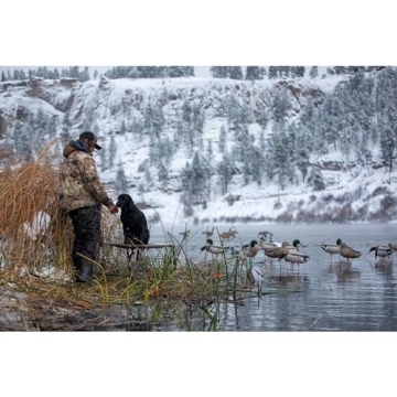 Momarsh Adjustable Dog Training Platform for Hunters & Trainers