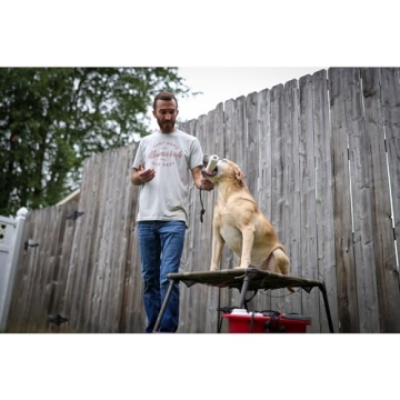 Momarsh Adjustable Dog Training Platform for Hunters & Trainers