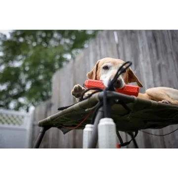 Momarsh Adjustable Dog Training Platform for Hunters & Trainers