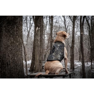 Momarsh Adjustable Dog Training Platform for Hunters & Trainers