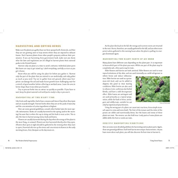 The Modern Herbal Dispensatory: A Medicine-Making Guide