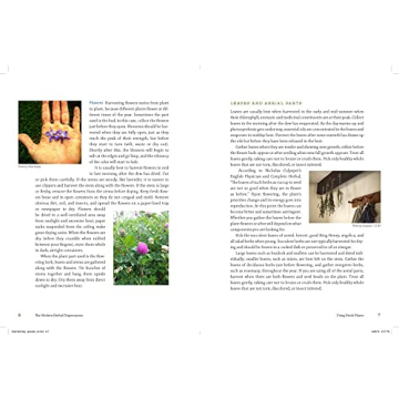 The Modern Herbal Dispensatory: A Medicine-Making Guide