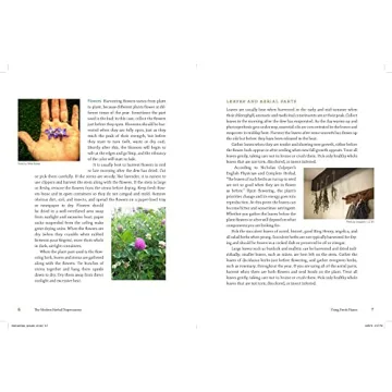 The Modern Herbal Dispensatory: A Medicine-Making Guide