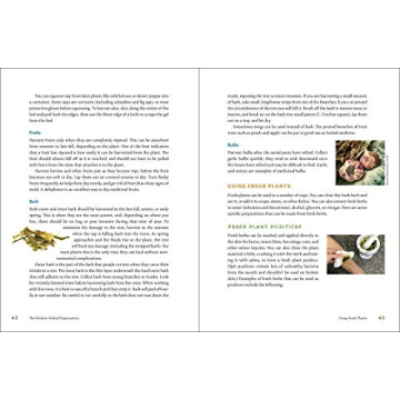 The Modern Herbal Dispensatory: A Medicine-Making Guide