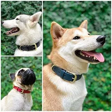 Tuff Pupper Classic Heavy Duty Dog Collar | 10x Stronger Than Leather | 100% Waterproof & Odor Proof Dog Collar | Tough Rust-Proof All Metal Hardware