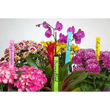 SHLA Group HDPS10 1 Gallon 200 Pack Paint Sticks That are for Crafts and Mixing, 200 Count