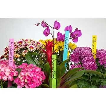 SHLA Group HDPS10 200 Pack Paint Sticks for Crafts and Mixing