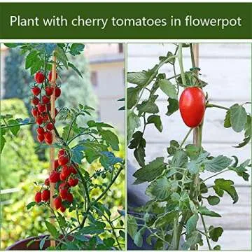 Eco-Friendly 16 Inch Bamboo Plant Stakes for Gardening