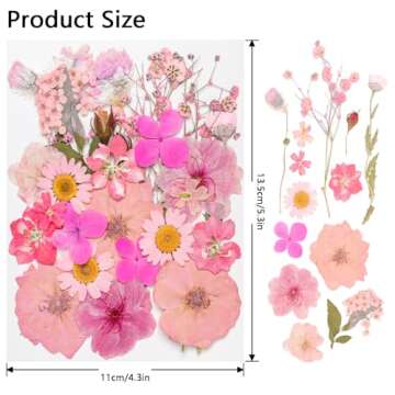 50Pcs Dried Pressed Flowers Real Pressed Flowers Natural Dry Leaves Bulk Mixed Colorful Herbs Kit wi...
