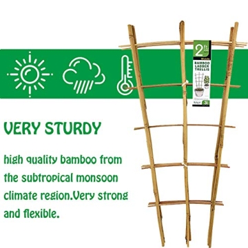 Natural Bamboo Trellis for Climbing Plants - 3 Pack