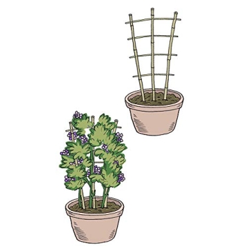 Natural Bamboo Trellis for Climbing Plants - 3 Pack