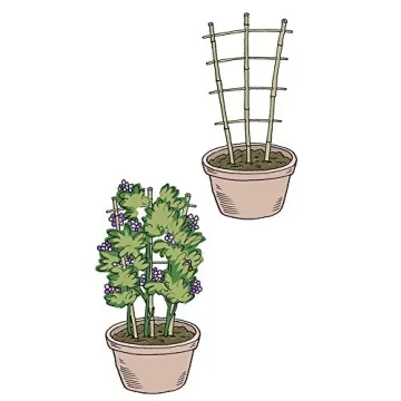 Natural Bamboo Trellis for Climbing Plants - 3 Pack