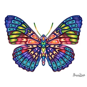 Copic Sketch Markers 72pc Set for Artists and Illustrators