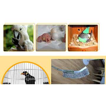 Bonaweite 3 Pack Bird Cage Brush, Wooden & Stainless Steel Long Handle Bird Cage Cleaner Brush, Poop Off Bird Cage Cleaning Brushes, Bird Cage Scraper Parrot Poop Remover Accessory