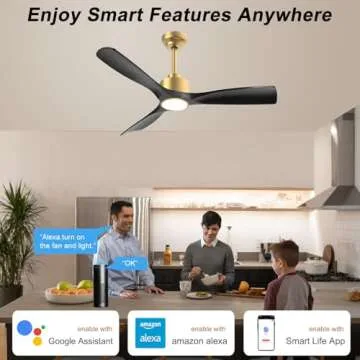 OFANTOP 52 Inch Quiet DC Motor Ceiling Fan with Lights