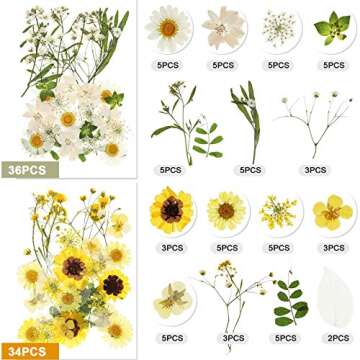 146 Pieces Dried Pressed Flowers Natural Real Dry Flower and 80 Pieces Butterfly Transparent Stickers Set with Tweezers for Art DIY Craft Candles, Resin Jewelry, Pendant, Making Art Floral Decors